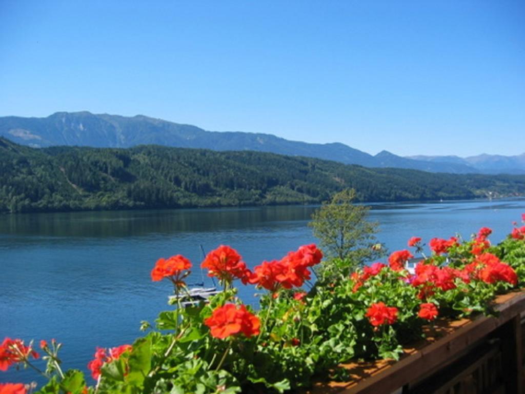 Haus Freitag Millstatt Oda fotoğraf